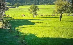 Gemuetliche Kleine Wohnung Mit Garten